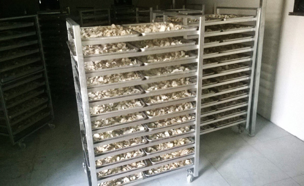 長沙烘干房建設需要特別注意的兩點